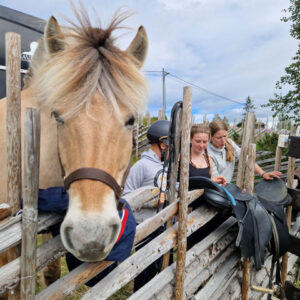 After School på Stav (fra 5. klasse)