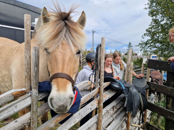 After School på Stav (fra 5. klasse)